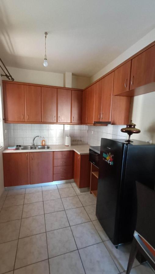 Irene Apartment Ioannina Bagian luar foto