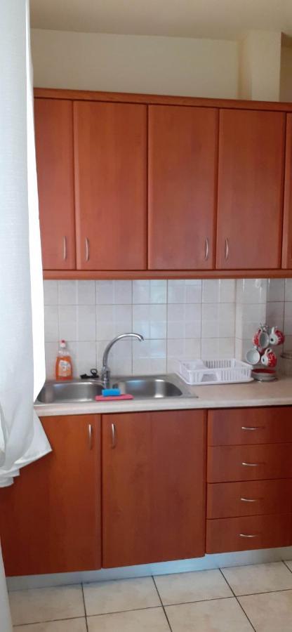 Irene Apartment Ioannina Bagian luar foto