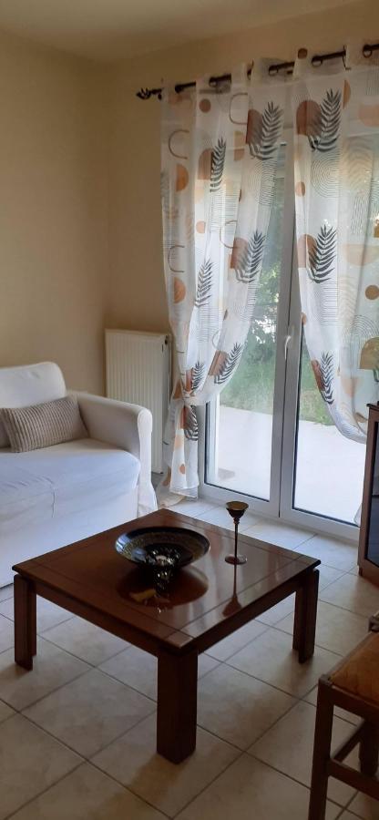 Irene Apartment Ioannina Bagian luar foto